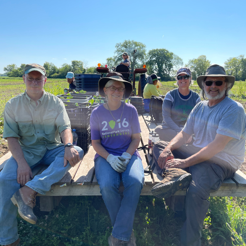 harvest crew