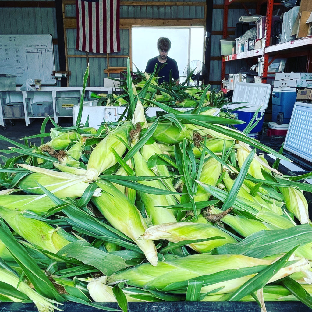 sweet corn bin