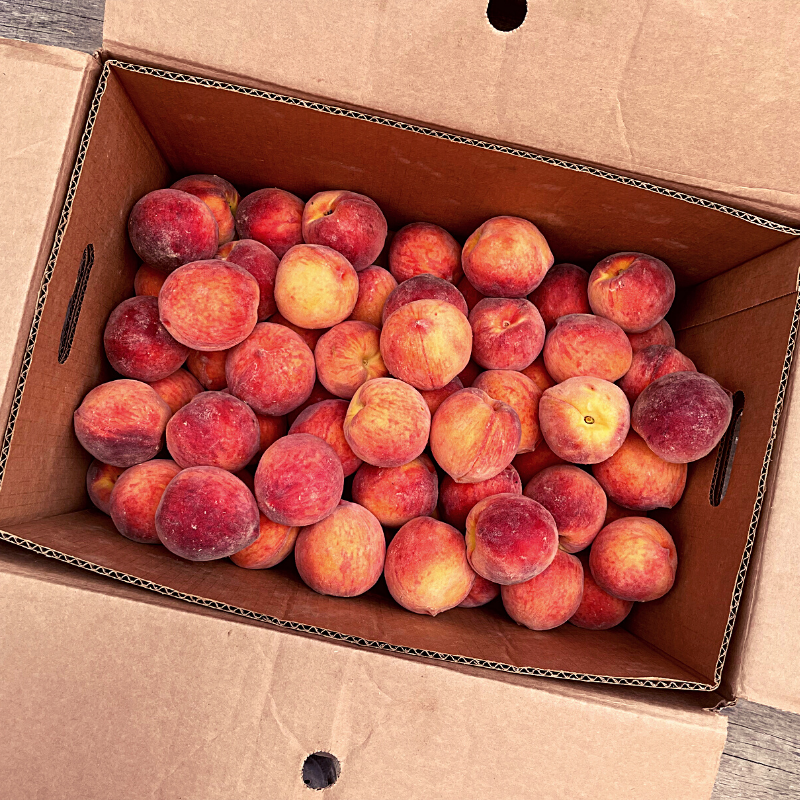 canning peaches