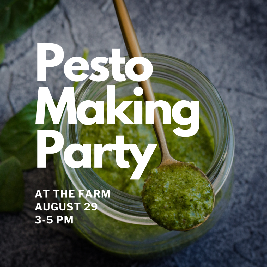 pesto making party