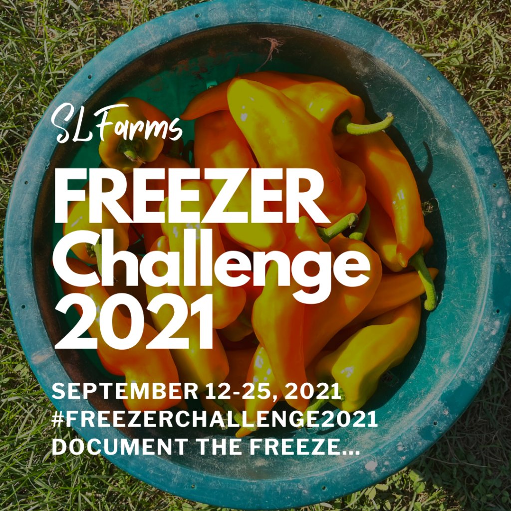 freezer challenge