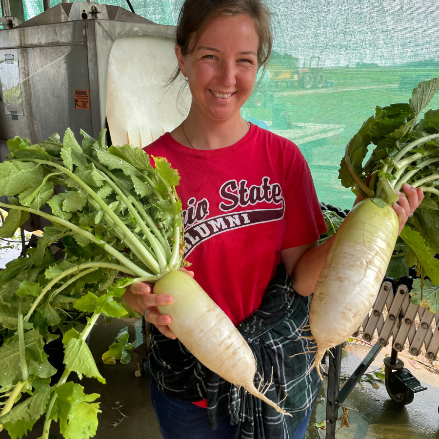 daikon radish