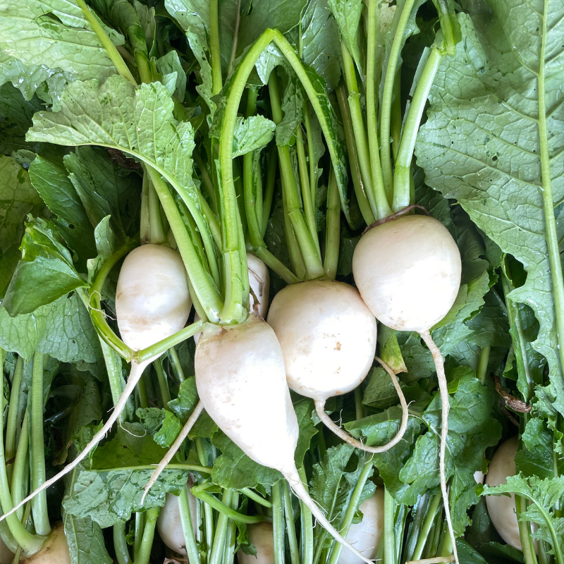 turnips