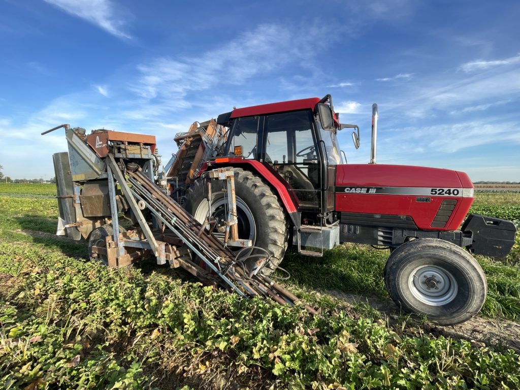 daikon harvester