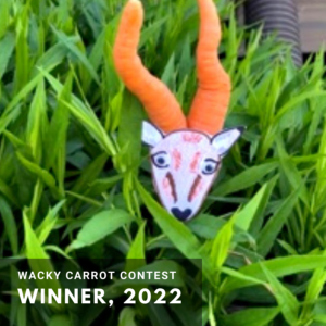 carrot contest