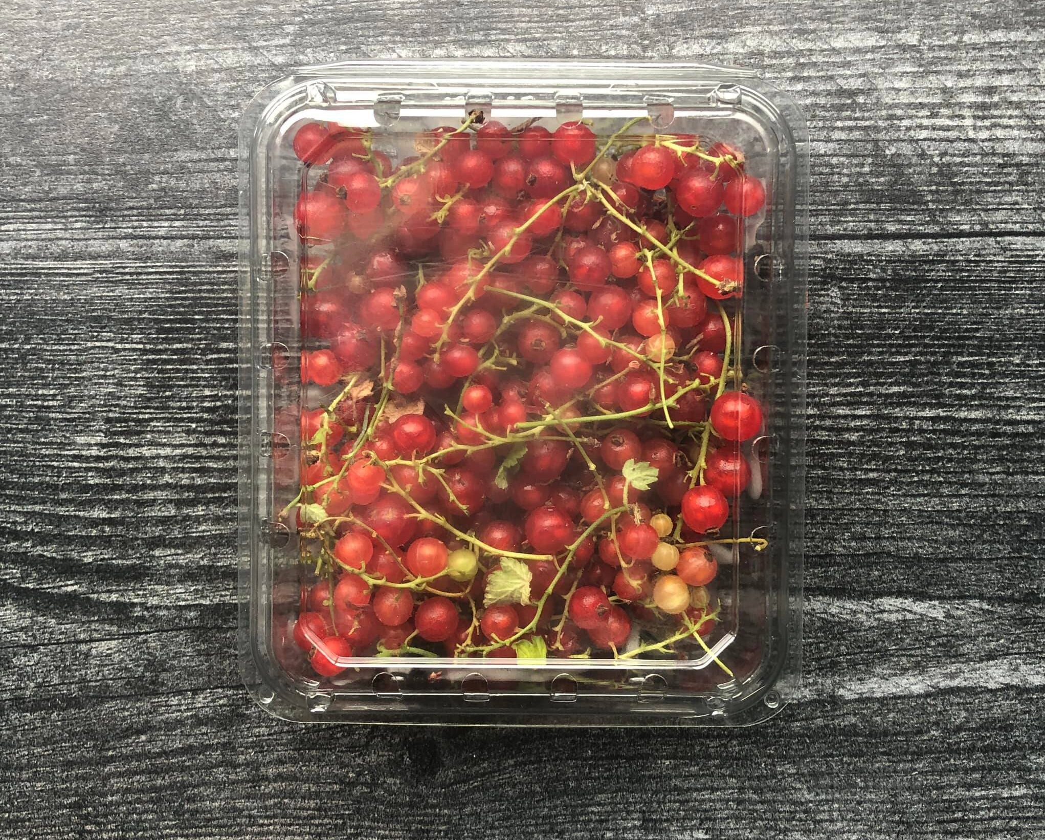 cropped-redcurrants.jpg red currants