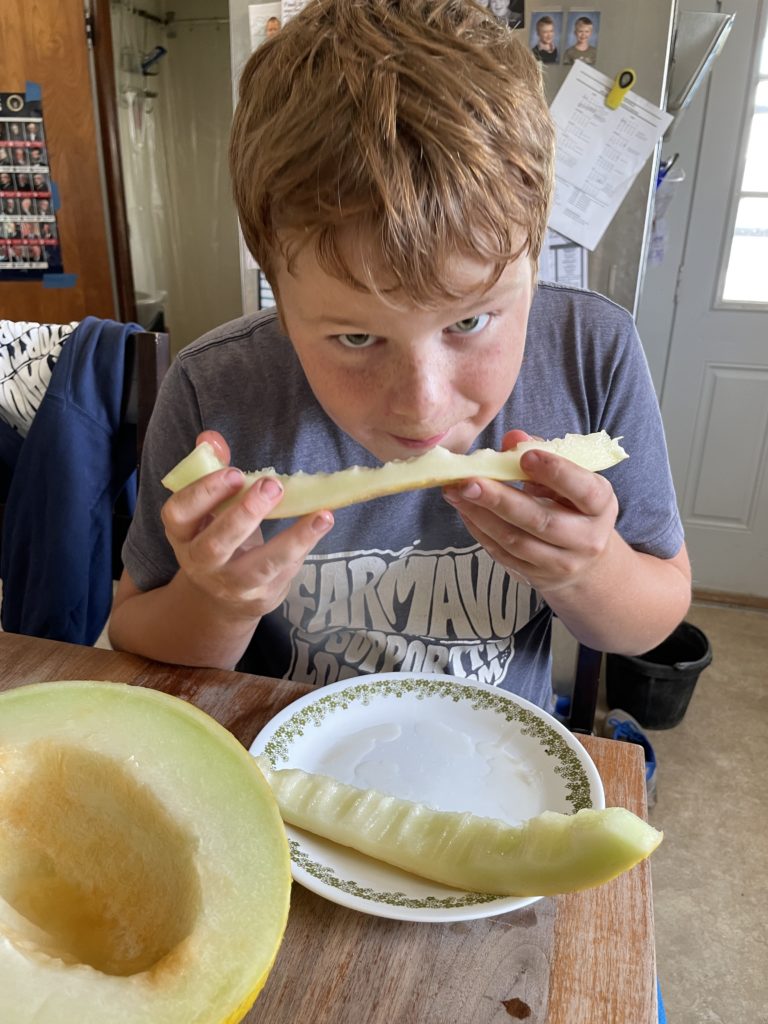 canary melon Josiah