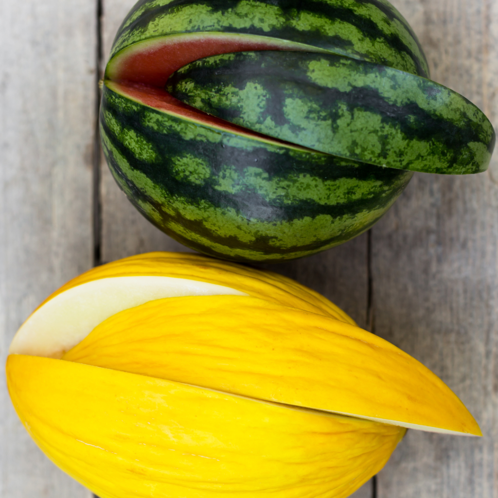 canary melon