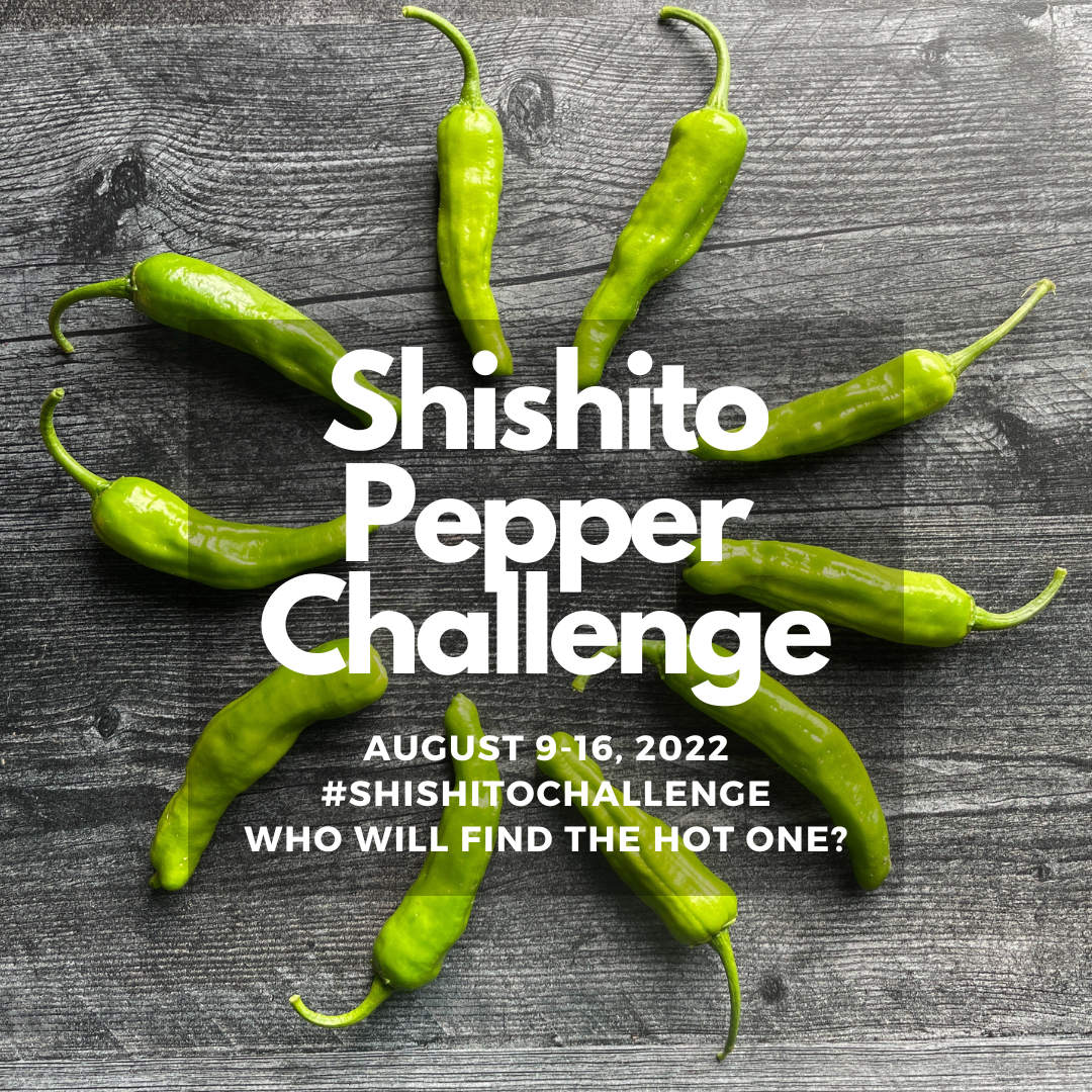 shishito challenge