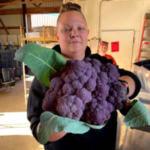 purple broccoli