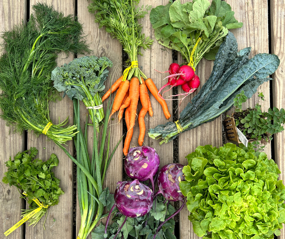 week 2 csa box