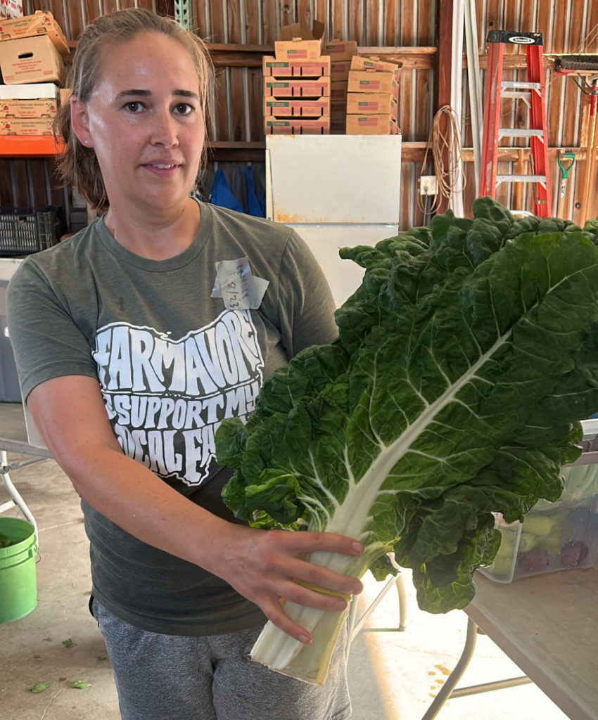 swiss chard huge