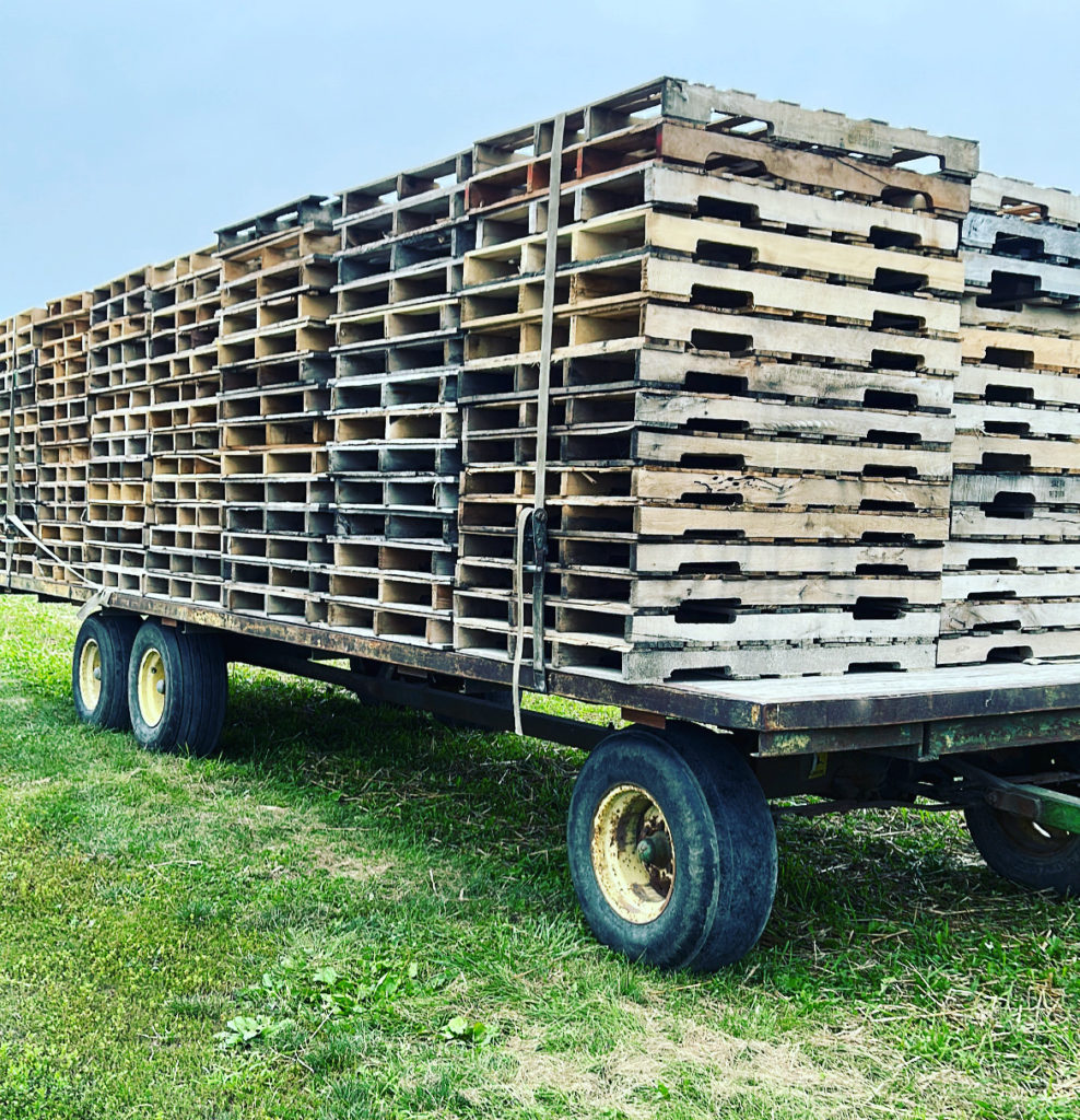 pallets