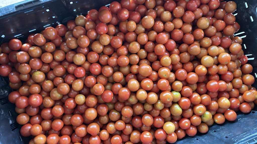 cherry tomatoes