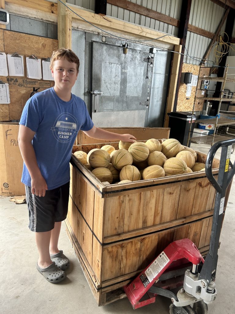 cantaloupe donated