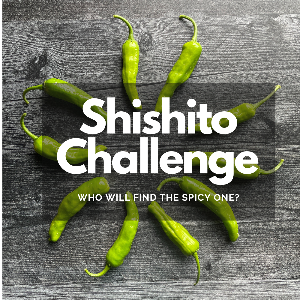 shishitochallenge