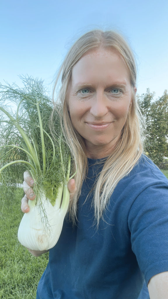 fennel