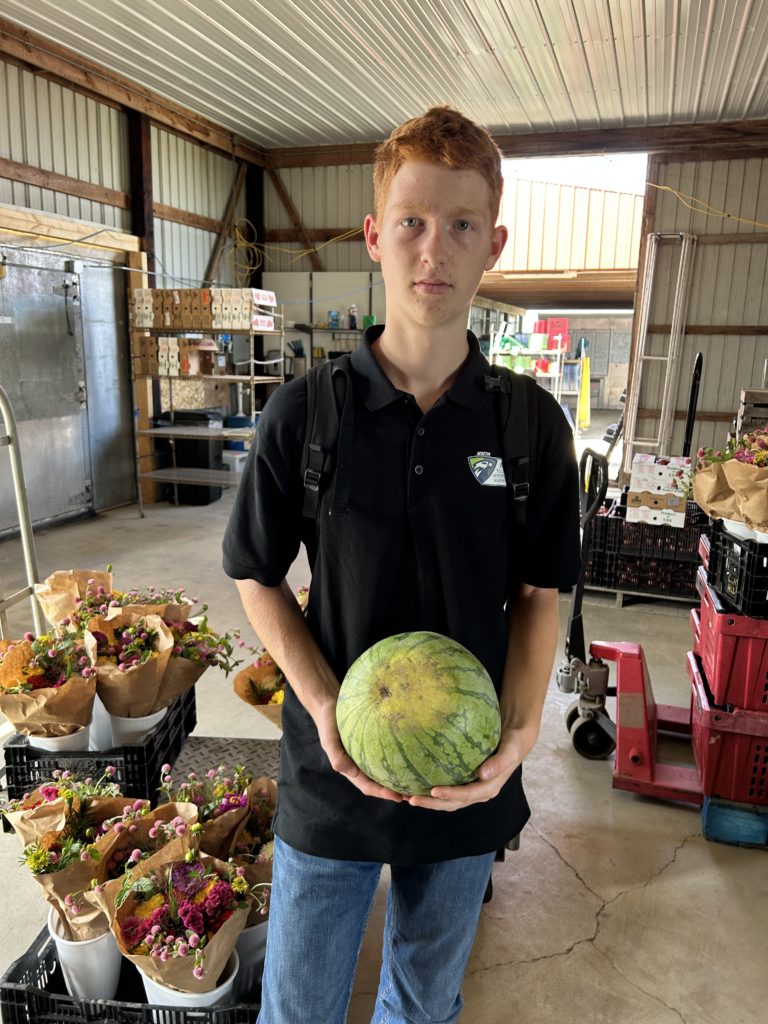 yellow watermelon