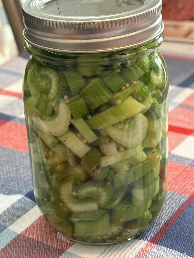 Pickled celery