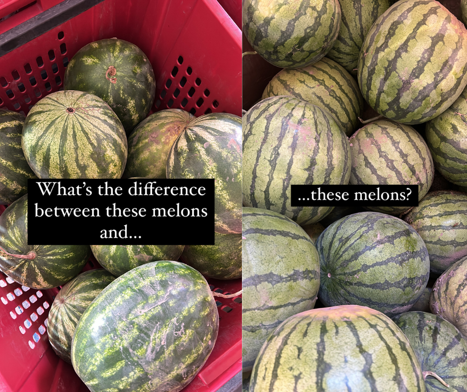 melon stripes