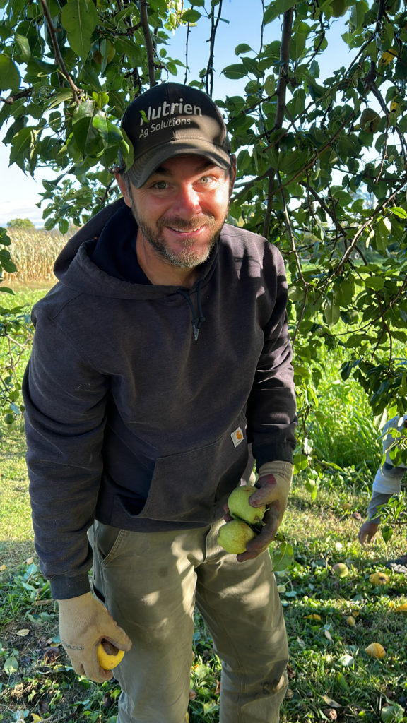 kurt picks pears