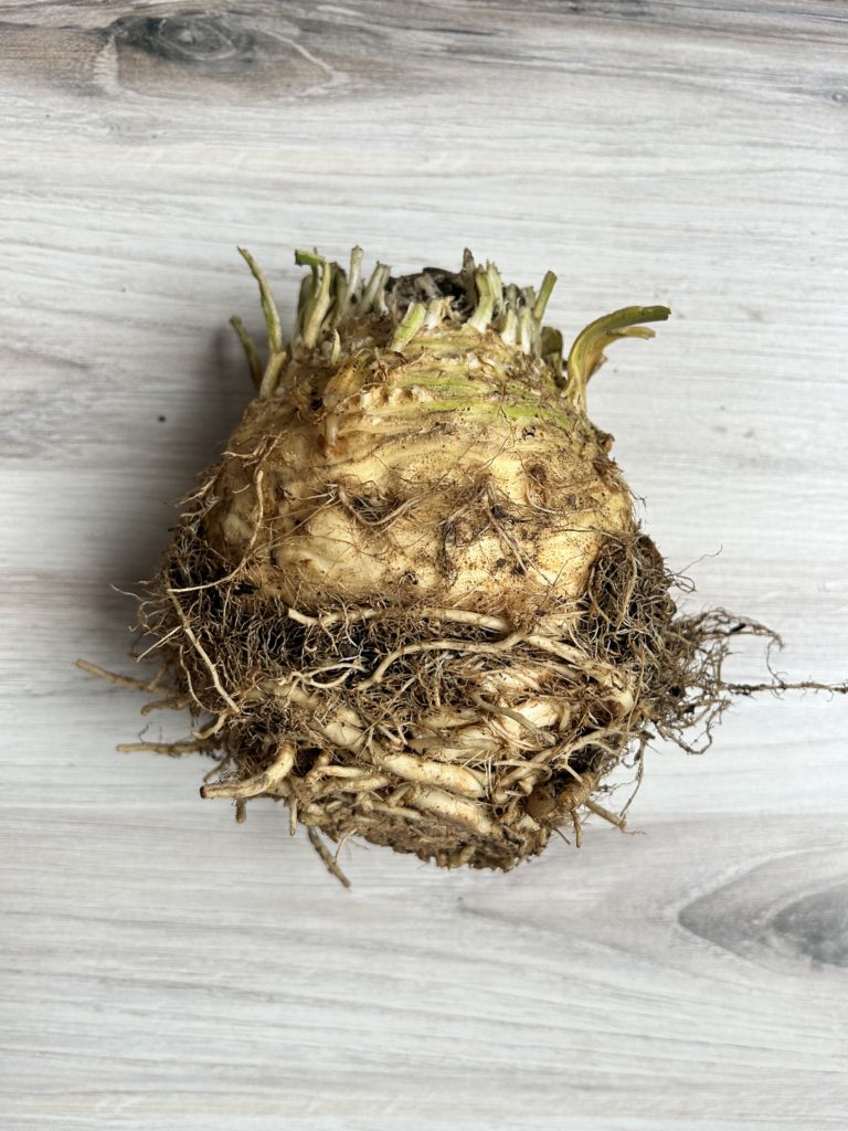 celery root