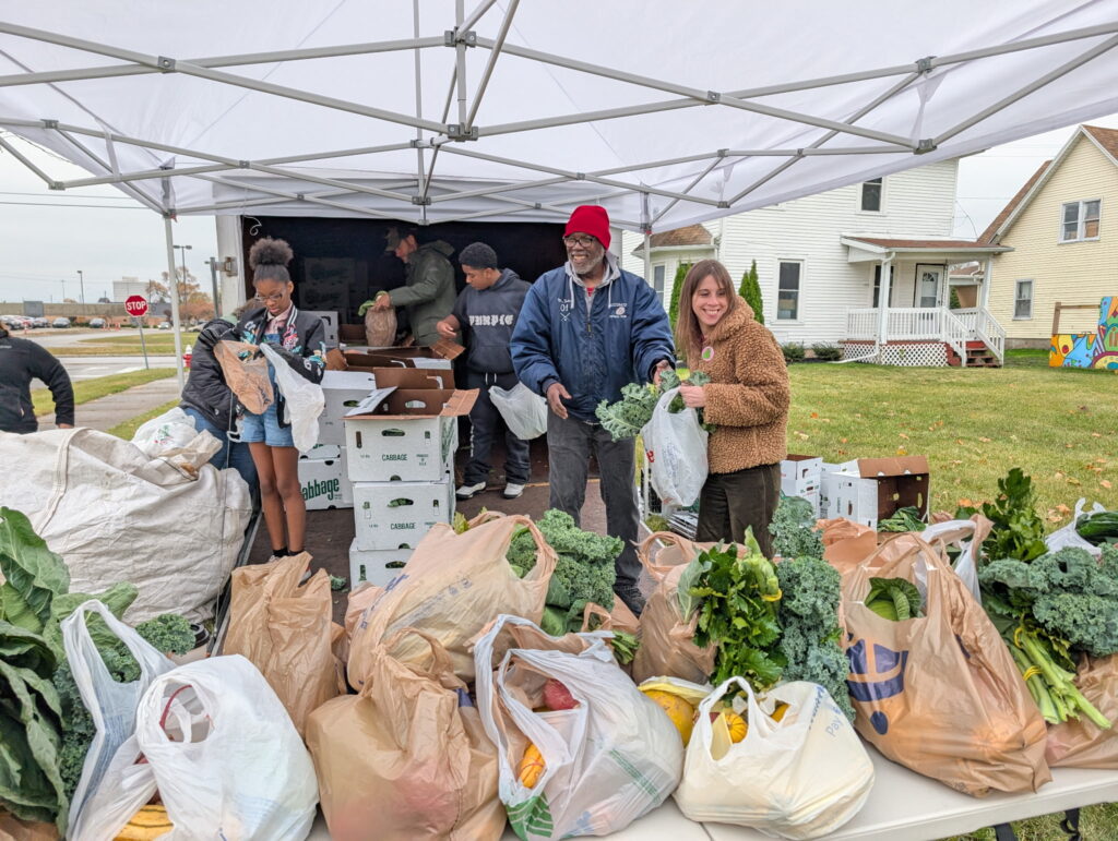 snap it forward distribution