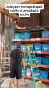pack shed cleanup