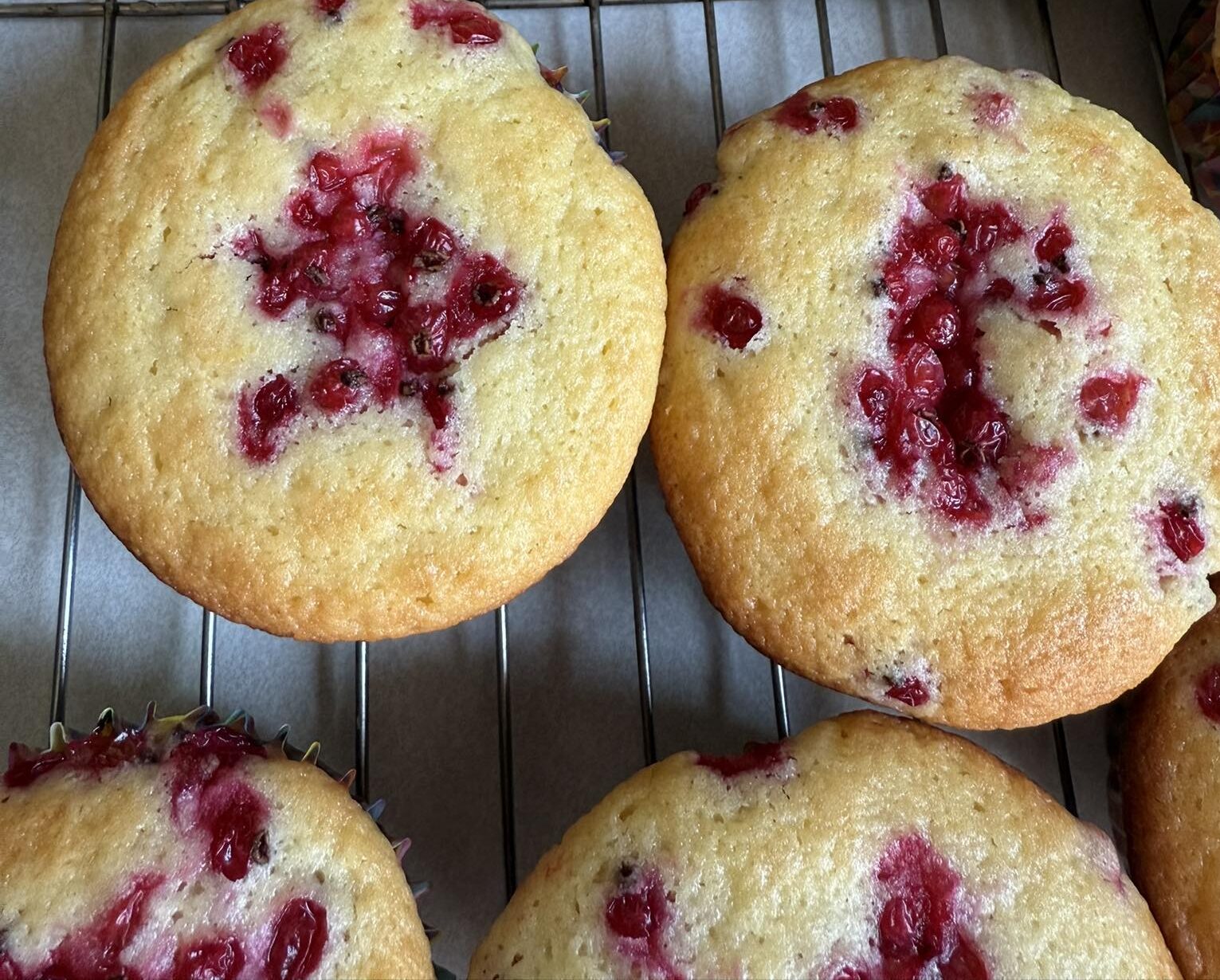 currantmuffinsPhlegar