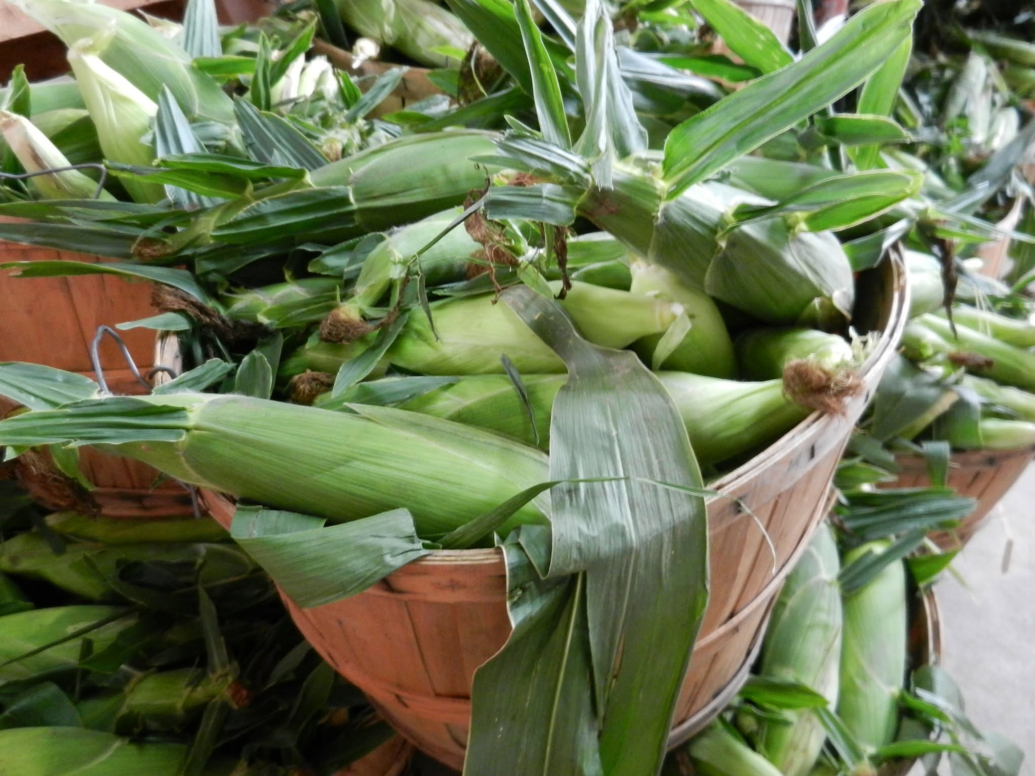 sweetcorn2 sweet corn
