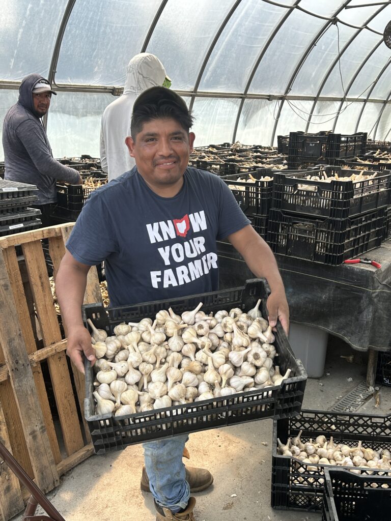 garlic processed Jose