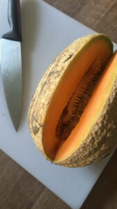 cantaloupe