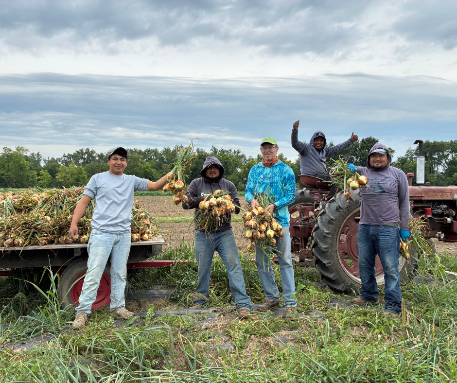 onionharvest