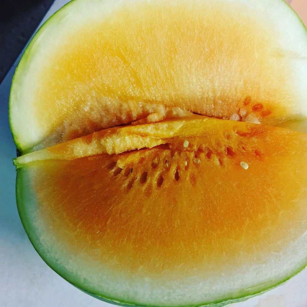 yellow watermelon